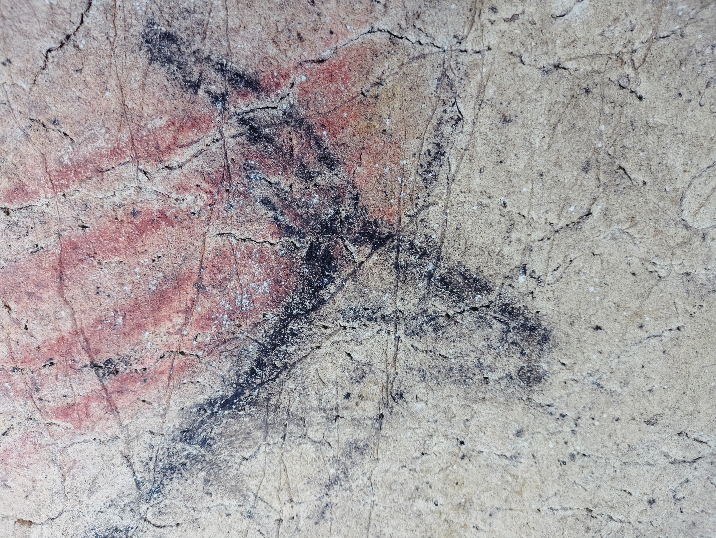 Ancient Rock Art Exploring Andalucia Painted Caves Spain The head of a gazelle