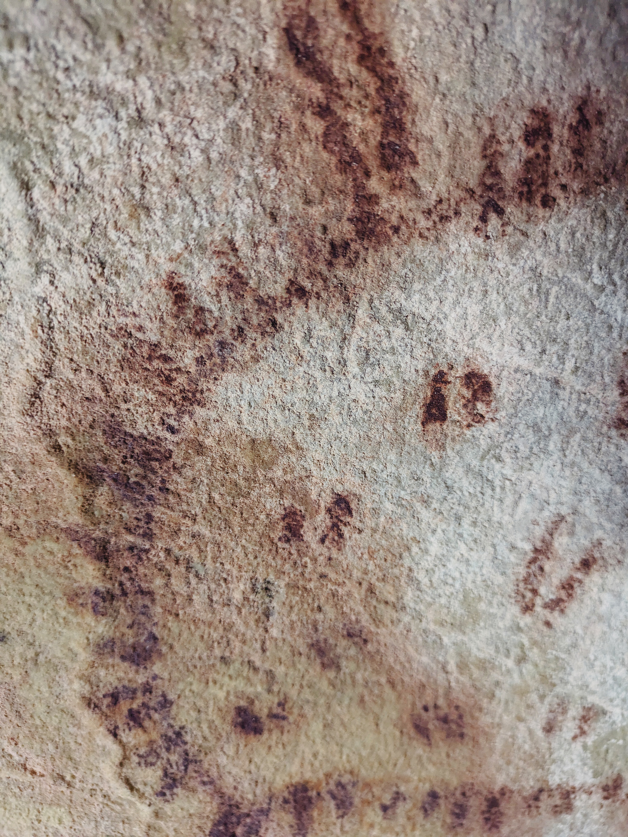A selection of corrals within the Level 2 area, clearly show timber-posted enclosures with connected funnels, probably showing a different economic aspect to Upper Palaeolithic Europe.  The corral with the yellow painted cervid (centre) is on a stepped slope leading to Level 3