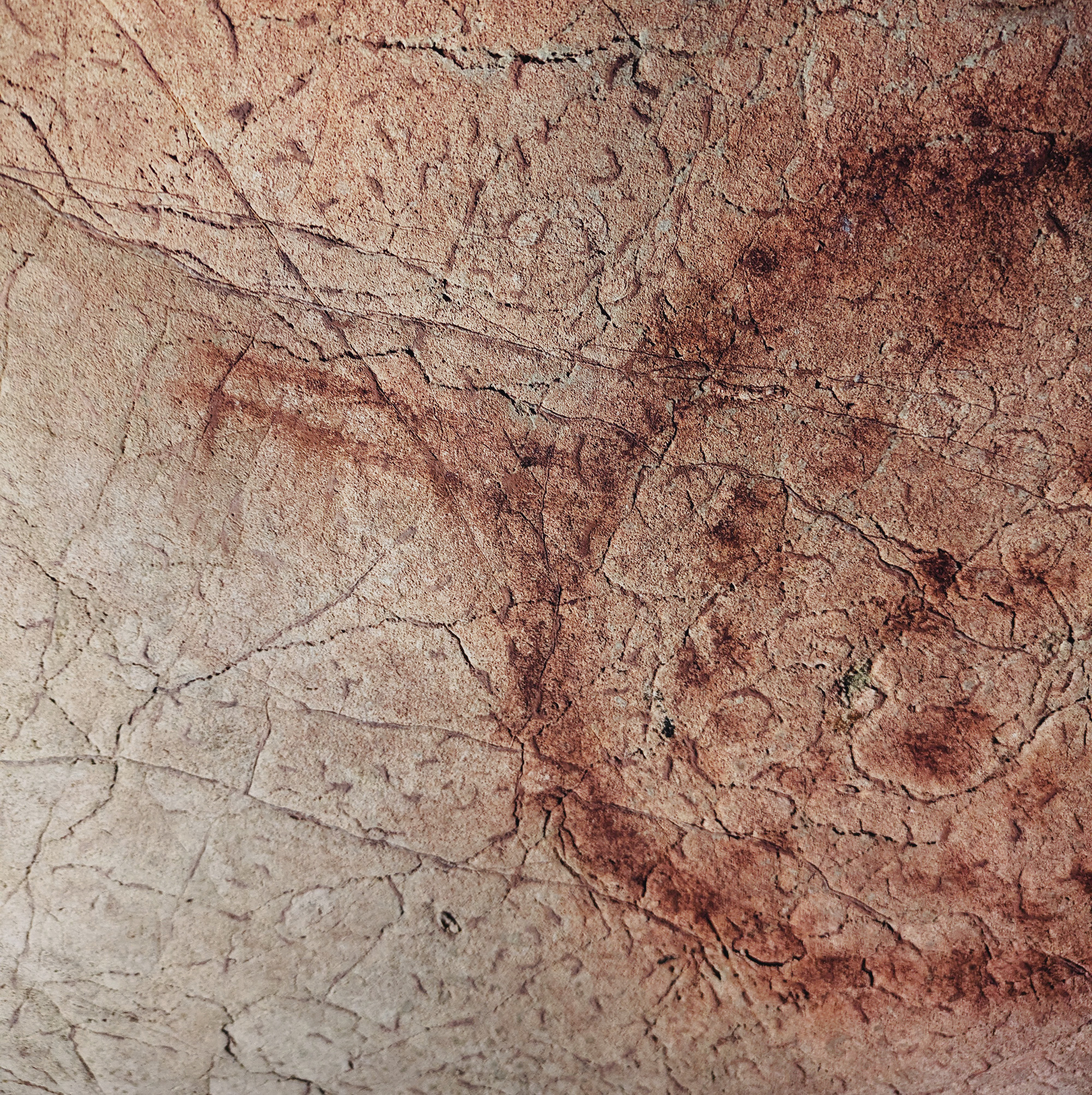 A selection of corrals within the Level 2 area, clearly show timber-posted enclosures with connected funnels, probably showing a different economic aspect to Upper Palaeolithic Europe.  The corral with the yellow painted cervid (centre) is on a stepped slope leading to Level 3