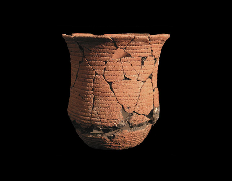 Beaker Pottery