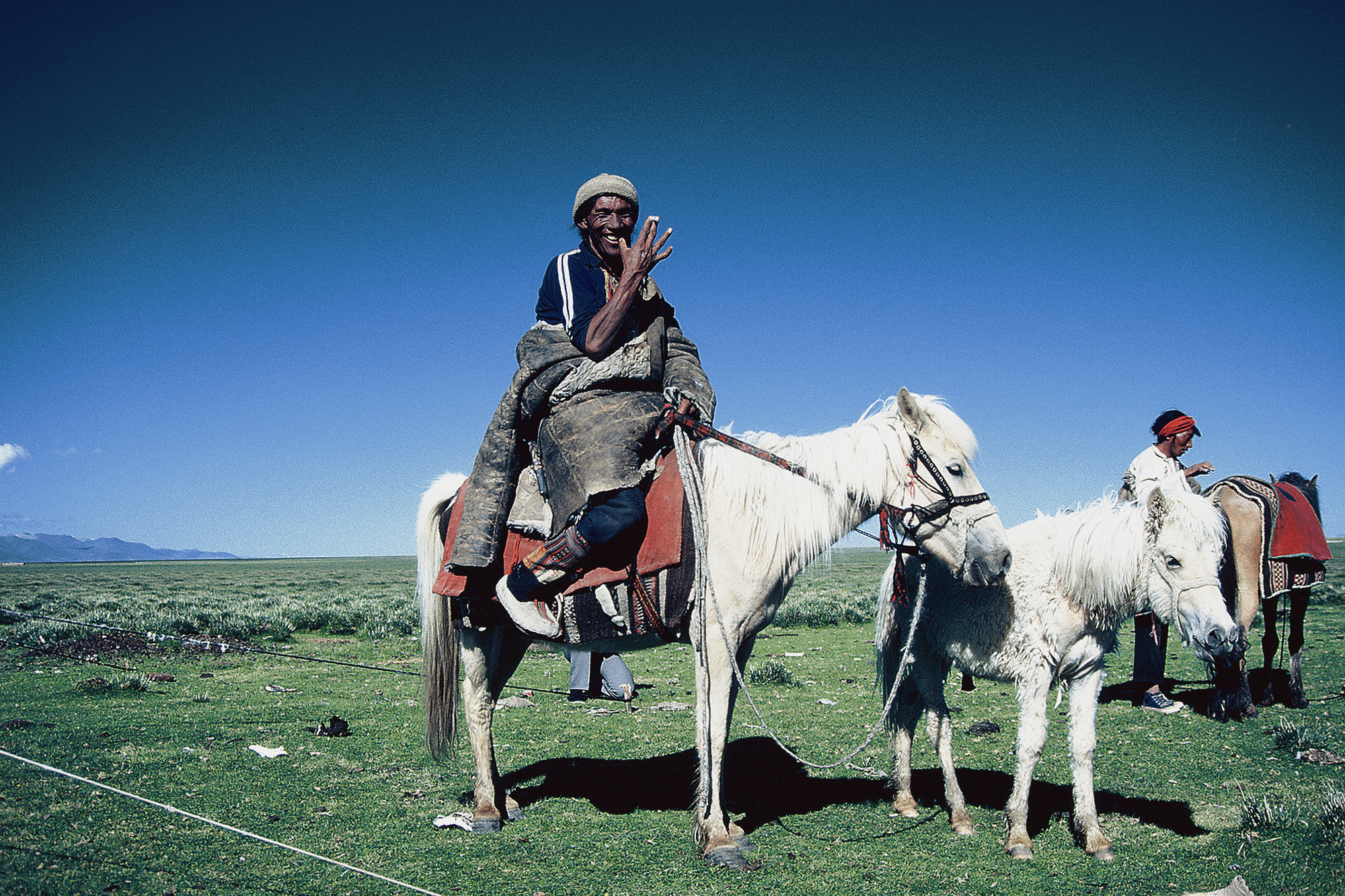 tibetan local nomads