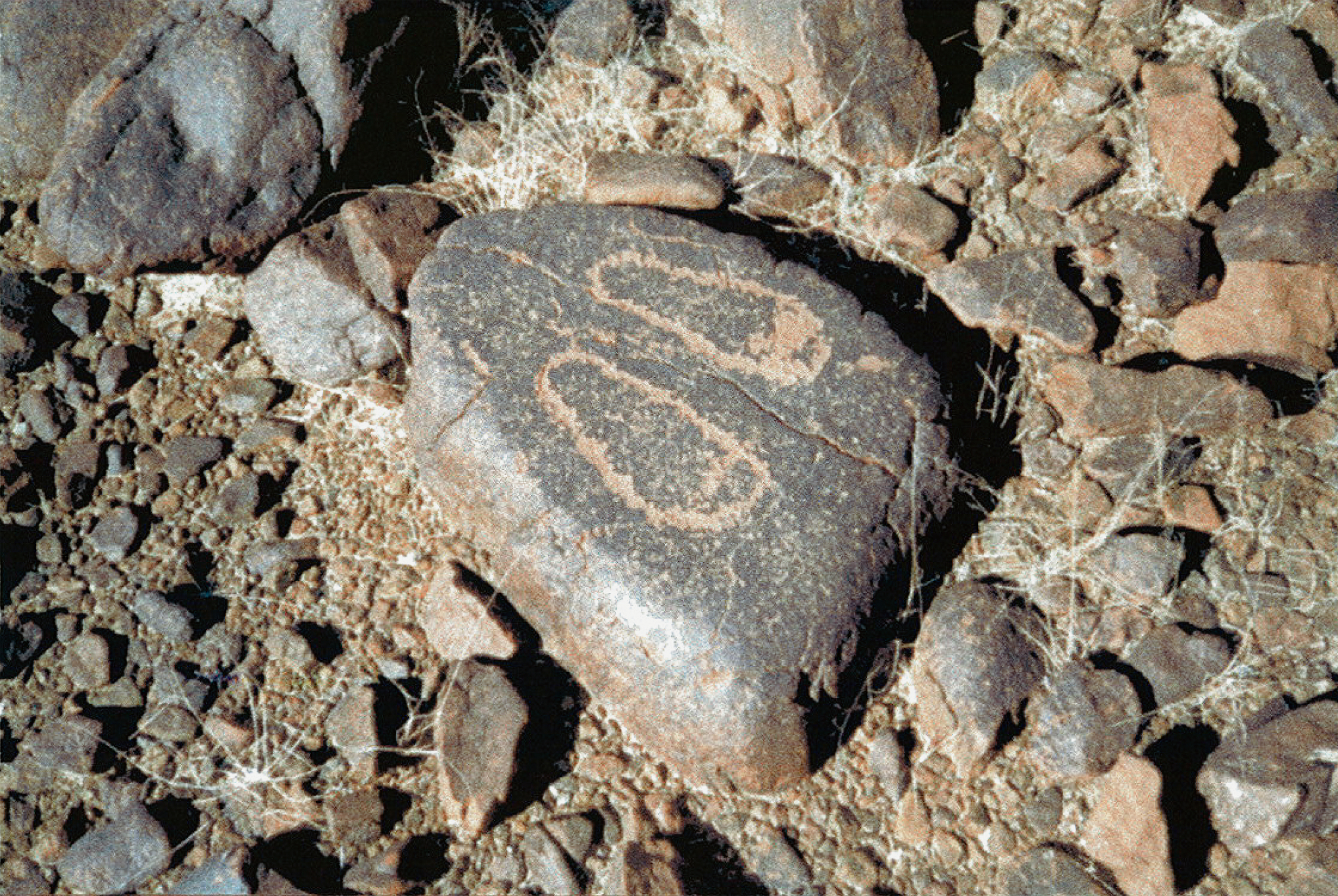 Rock Art of the Hajar Mountains Bradshaw Foundation