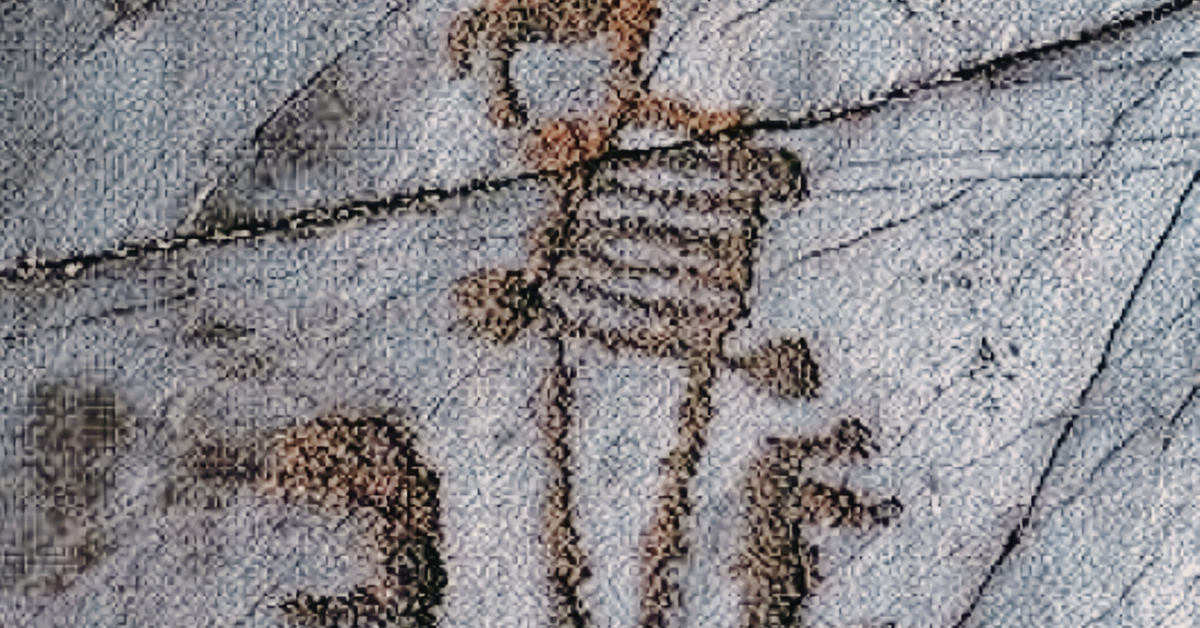 Bradshaw Foundation Instagram