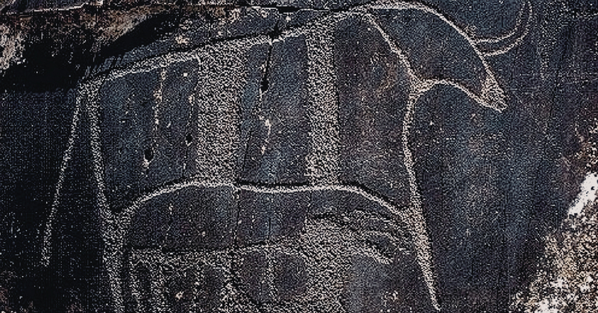 Bradshaw Foundation Twitter